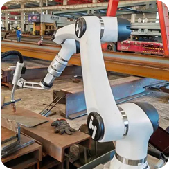 Production line site